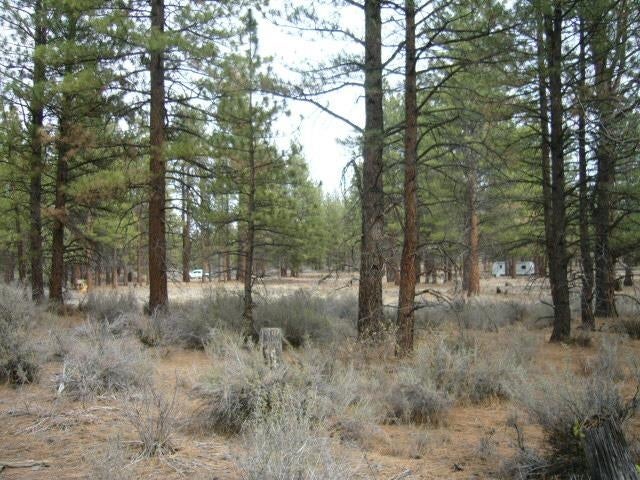 4.29 Acres Antelope Road Macdoel, CA 96058 - Photo 9 of 14 Gallery Image 9