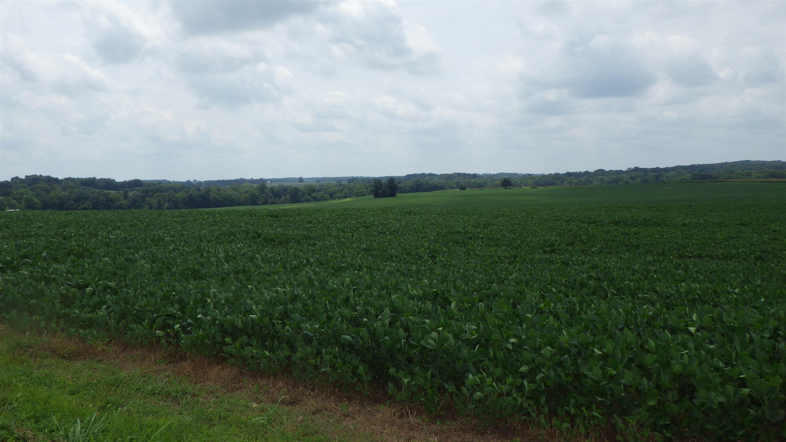 6502 North Pinson Road Portland, TN 37148 - Photo 22 of 22 a view of a field of grass and trees
