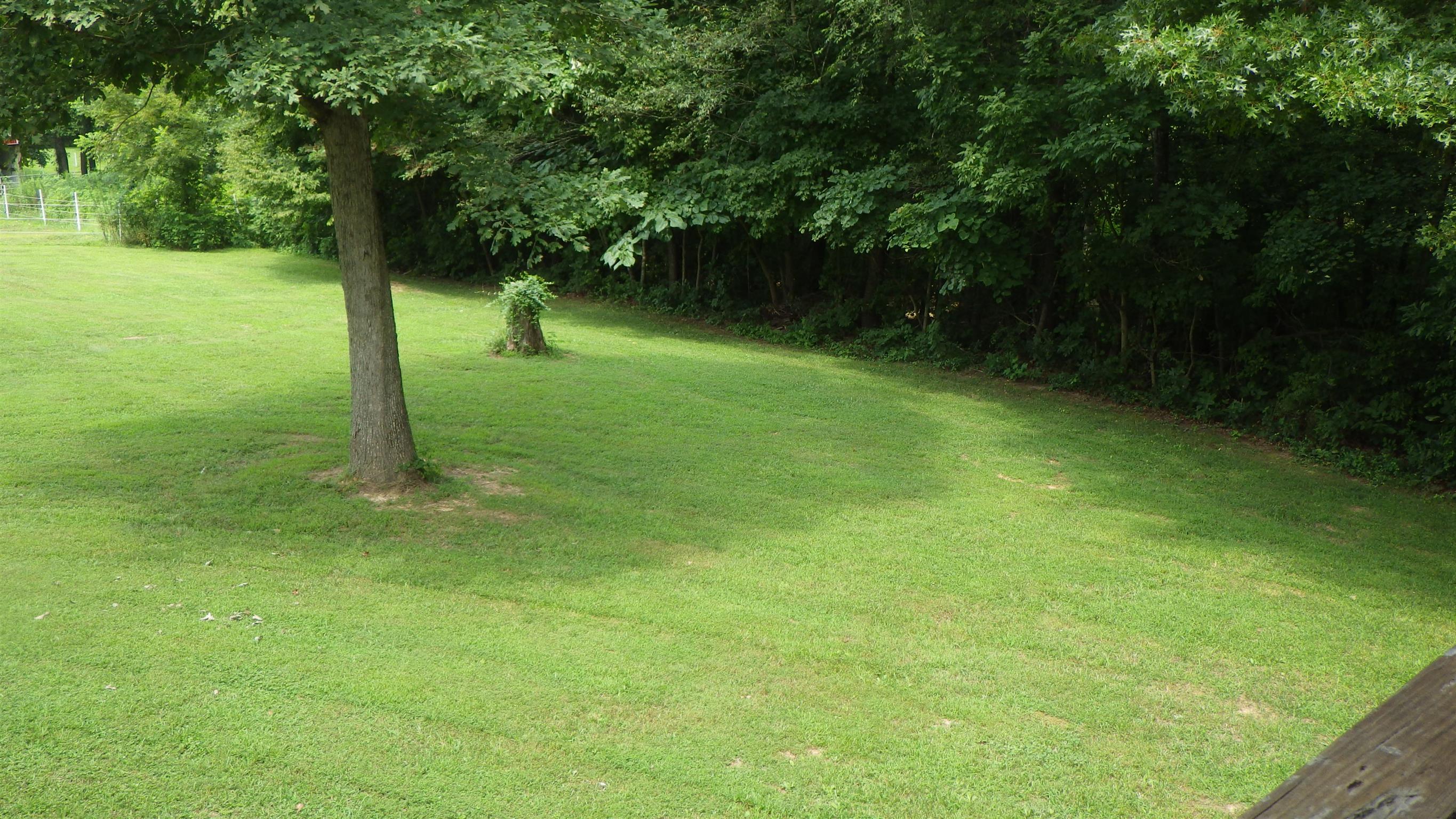 6502 North Pinson Road Portland, TN 37148 - Photo 9 of 22 a view of outdoor space