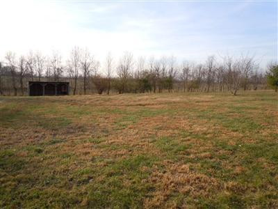 1993 Walnut Grove Road Carlisle, KY 40311 - Photo 13 of 14 Photo 13