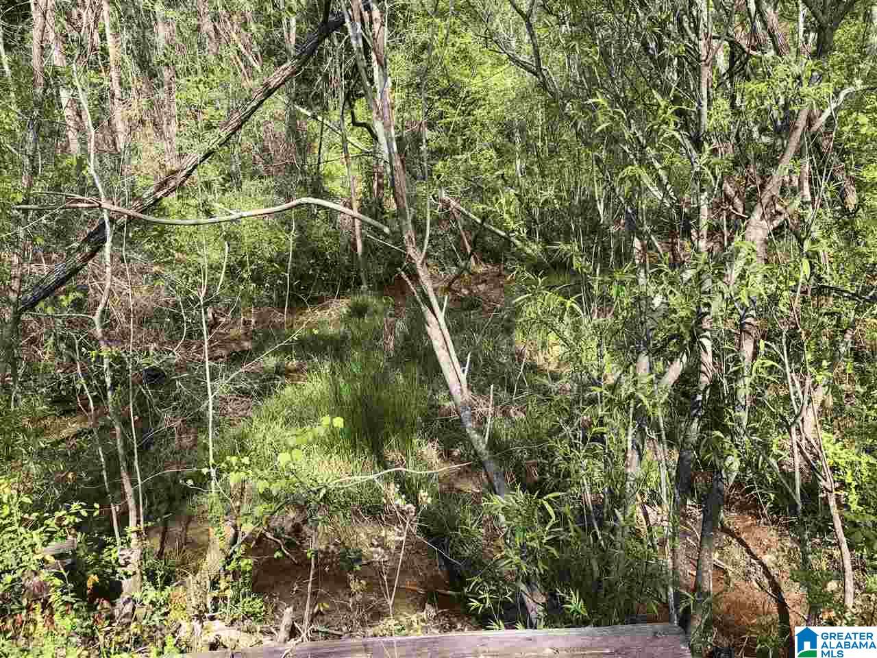 11-acres Morgan Road, Unit 11 ACRES Helena, AL 35022 - Photo 6 of 11