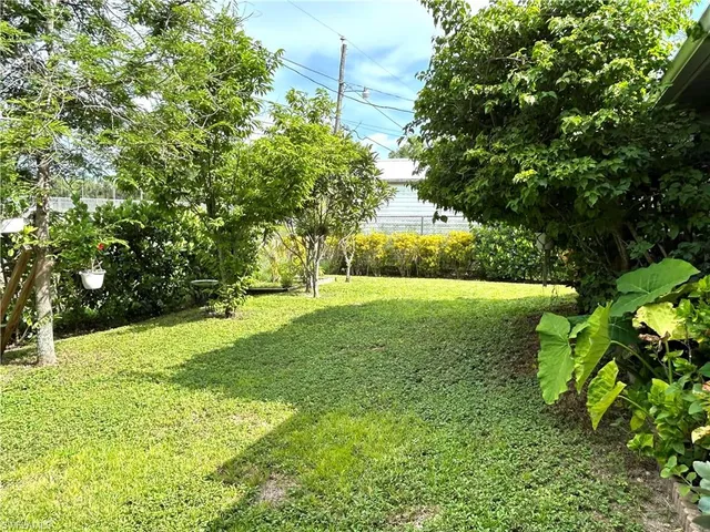 a outdoor view from a window