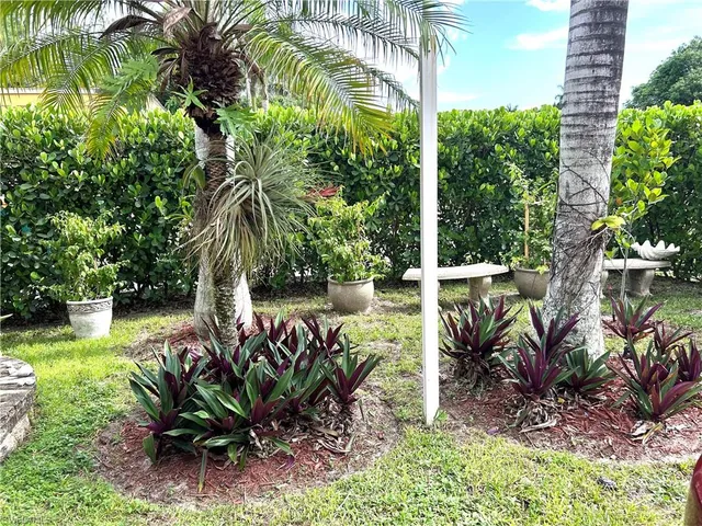 a view of a chair and table in the garden