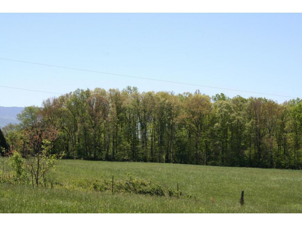 Lot 14 Old Stage Road, Unit 14 Greeneville, TN 37745 - Photo 1 of 2 Photo 1