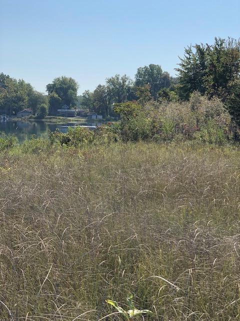 Undisclosed Address Union, MI 49130 - Photo 2 of 3 IMG_4814