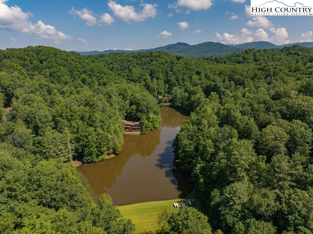 265 Trout Lake Road Deep Gap, NC 28618 - Photo 3 of 50