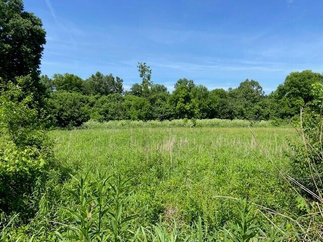 113 Lee's Creek Road Dover, KY 41034 - Photo 11 of 30 4