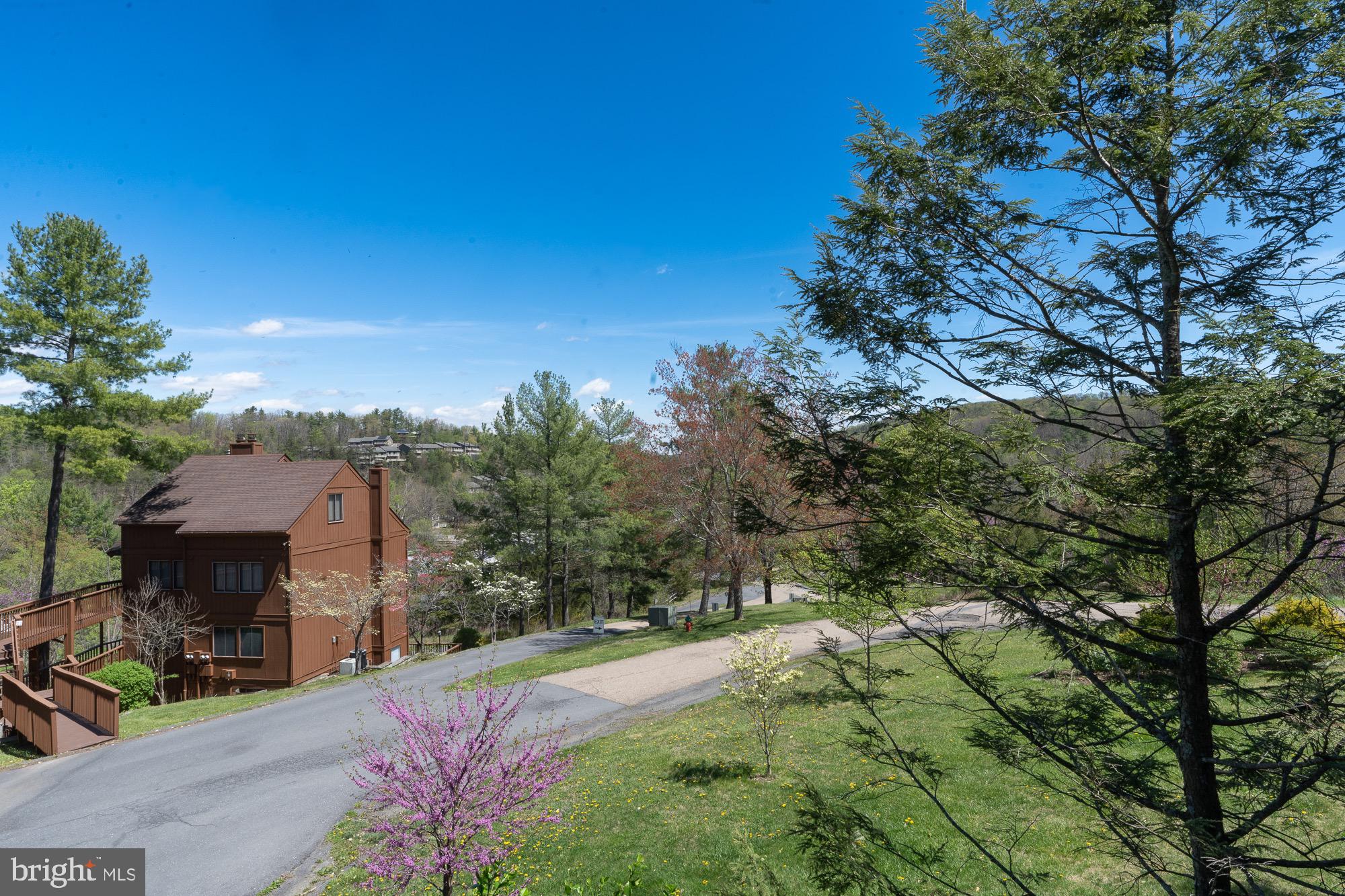141 The Hill Road, Unit 25A Basye, VA 22810 - Photo 6 of 18 a front view of a house with a yard