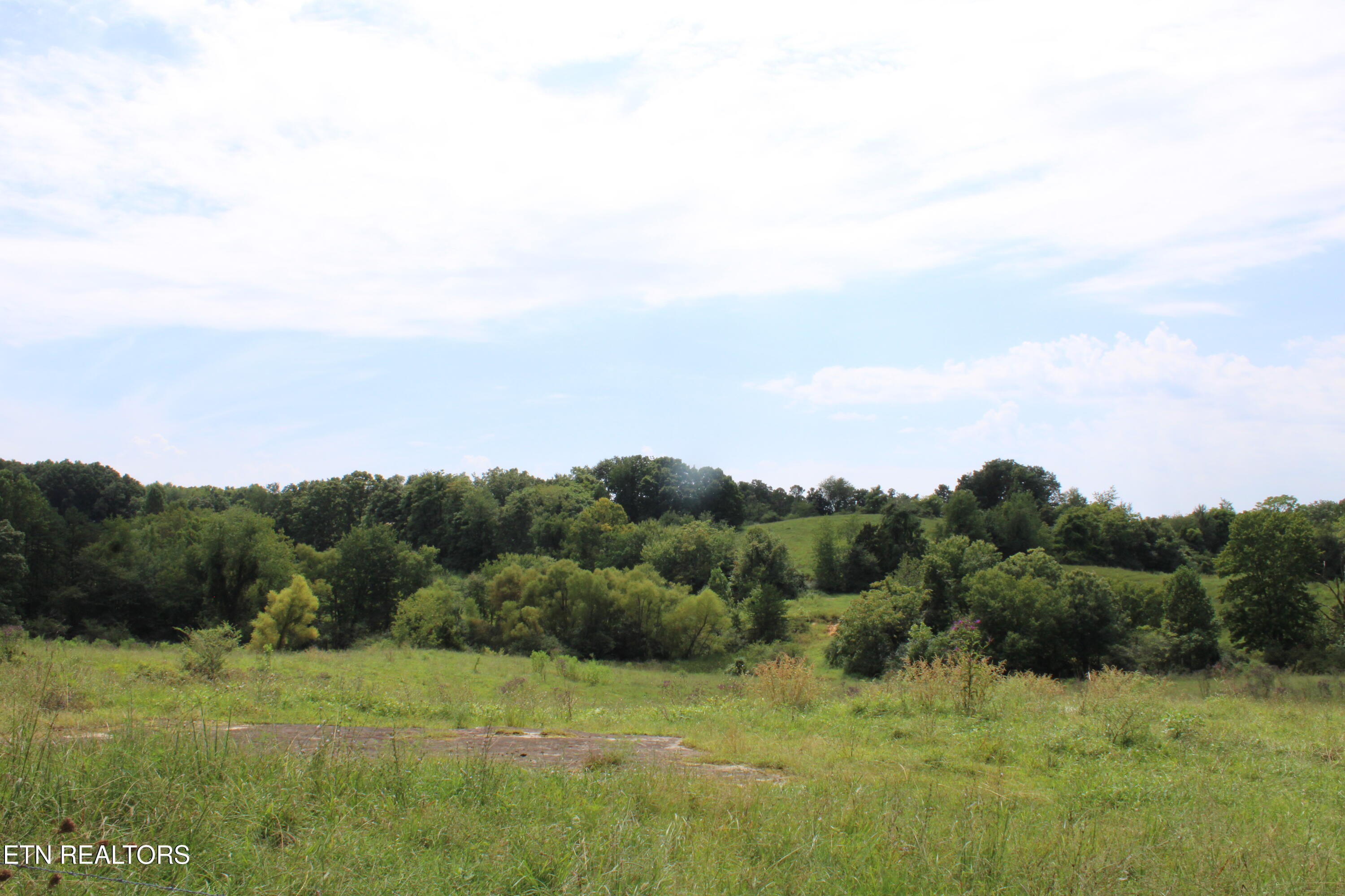 536 Ted Brooks Road Jamestown, TN 38556 - Photo 30 of 43 IMG_2093