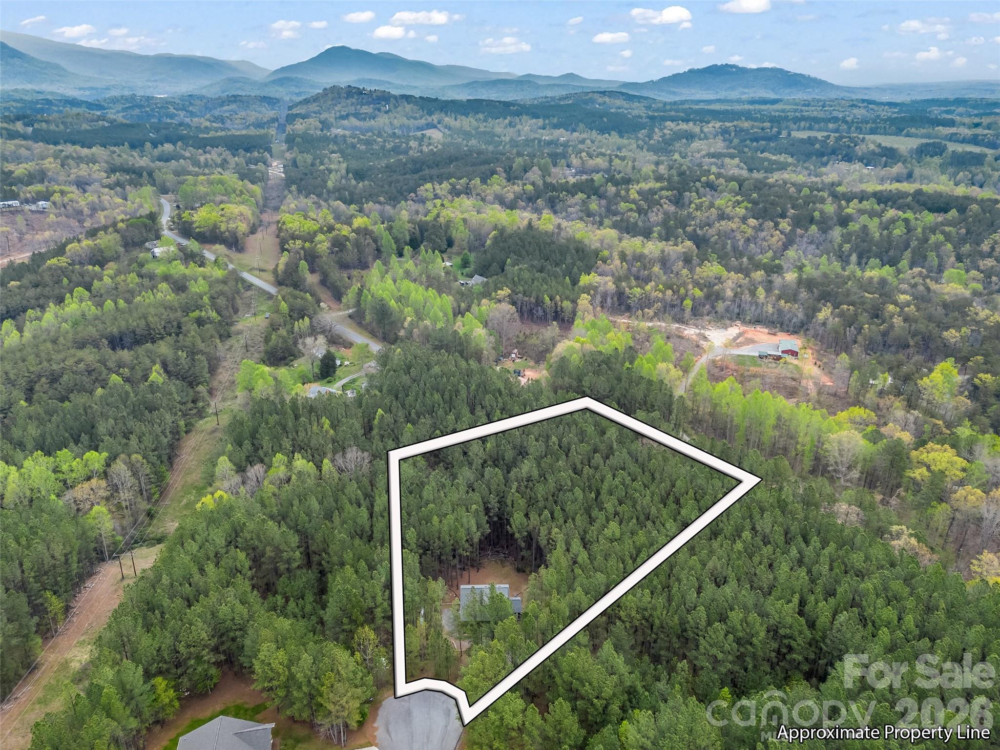 120 Ashley Court Mill Spring, NC 28756 - Photo 37 of 44
