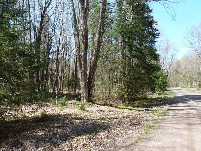 Lot 9 Black Forest Road Presque Isle, WI 54557 - Photo 2 of 3 Gallery Image 2