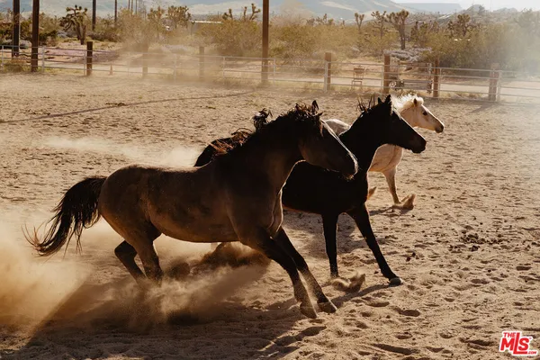 a view of a lake from a corridor