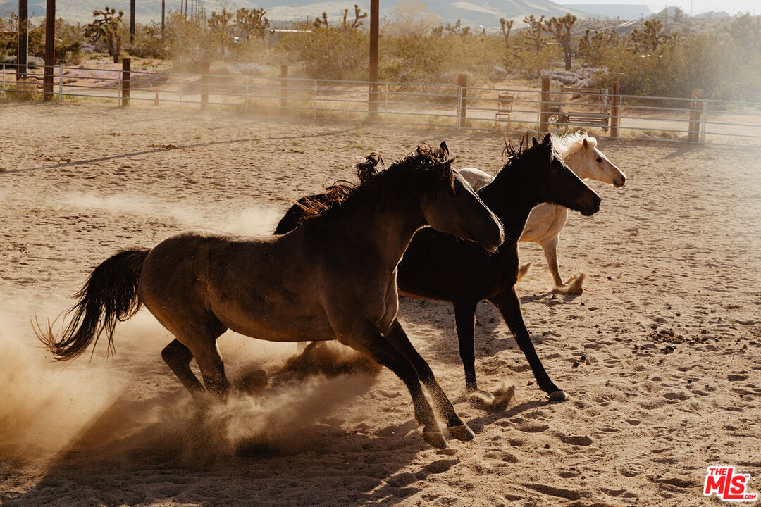 55626 Pipes Canyon Road Yucca Valley, CA 92284 - Photo 2 of 61 a view of a lake from a corridor