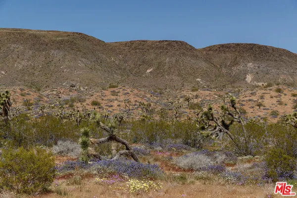 a view of a dry yard with mountains in the background