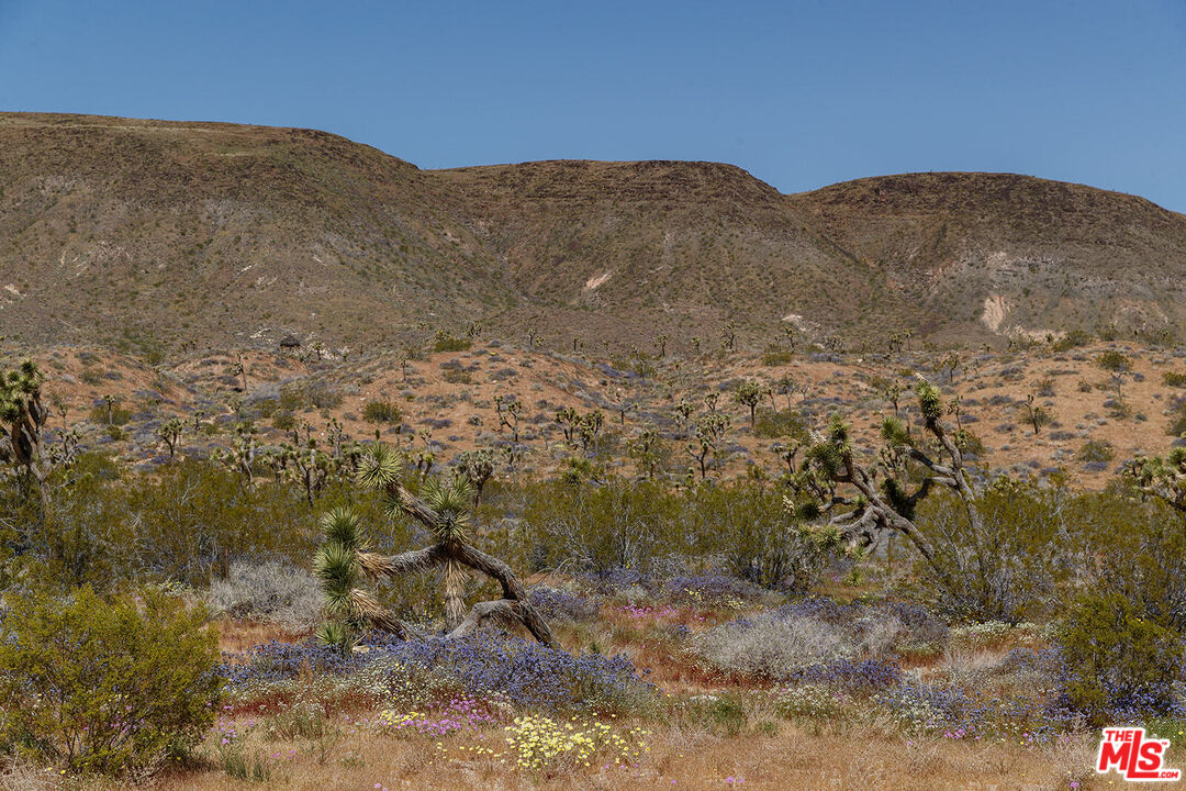 55626 Pipes Canyon Road Yucca Valley, CA 92284 - Photo 23 of 61 a view of a dry yard with mountains in the background