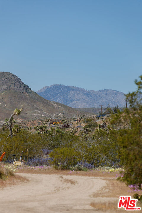 55626 Pipes Canyon Road Yucca Valley, CA 92284 - Photo 24 of 61 a view of a lush green field
