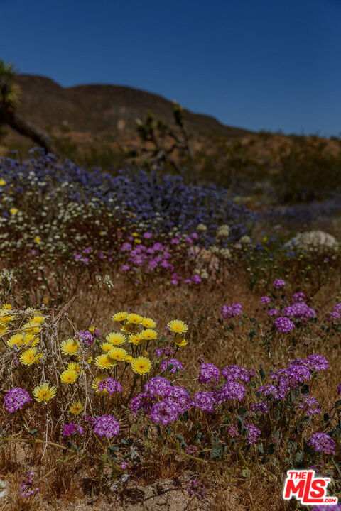 55626 Pipes Canyon Road Yucca Valley, CA 92284 - Photo 26 of 61