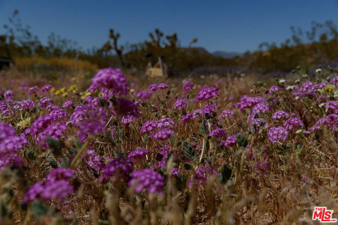 55626 Pipes Canyon Road Yucca Valley, CA 92284 - Photo 27 of 61