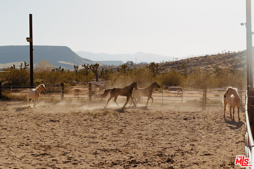 55626 Pipes Canyon Road Yucca Valley, CA 92284 - Photo 28 of 61 a view of a terrace with a mountain
