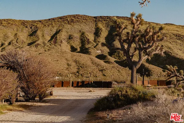 a view of a yard with a mountain