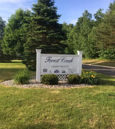 a view of a garden with plants and large trees