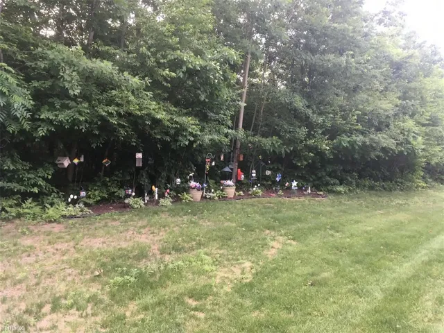 a view of outdoor space and yard