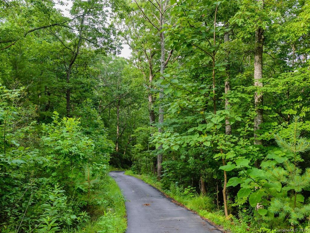 201 Whitaker Road Fairview, NC 28730 - Photo 23 of 24 Gallery Image 23