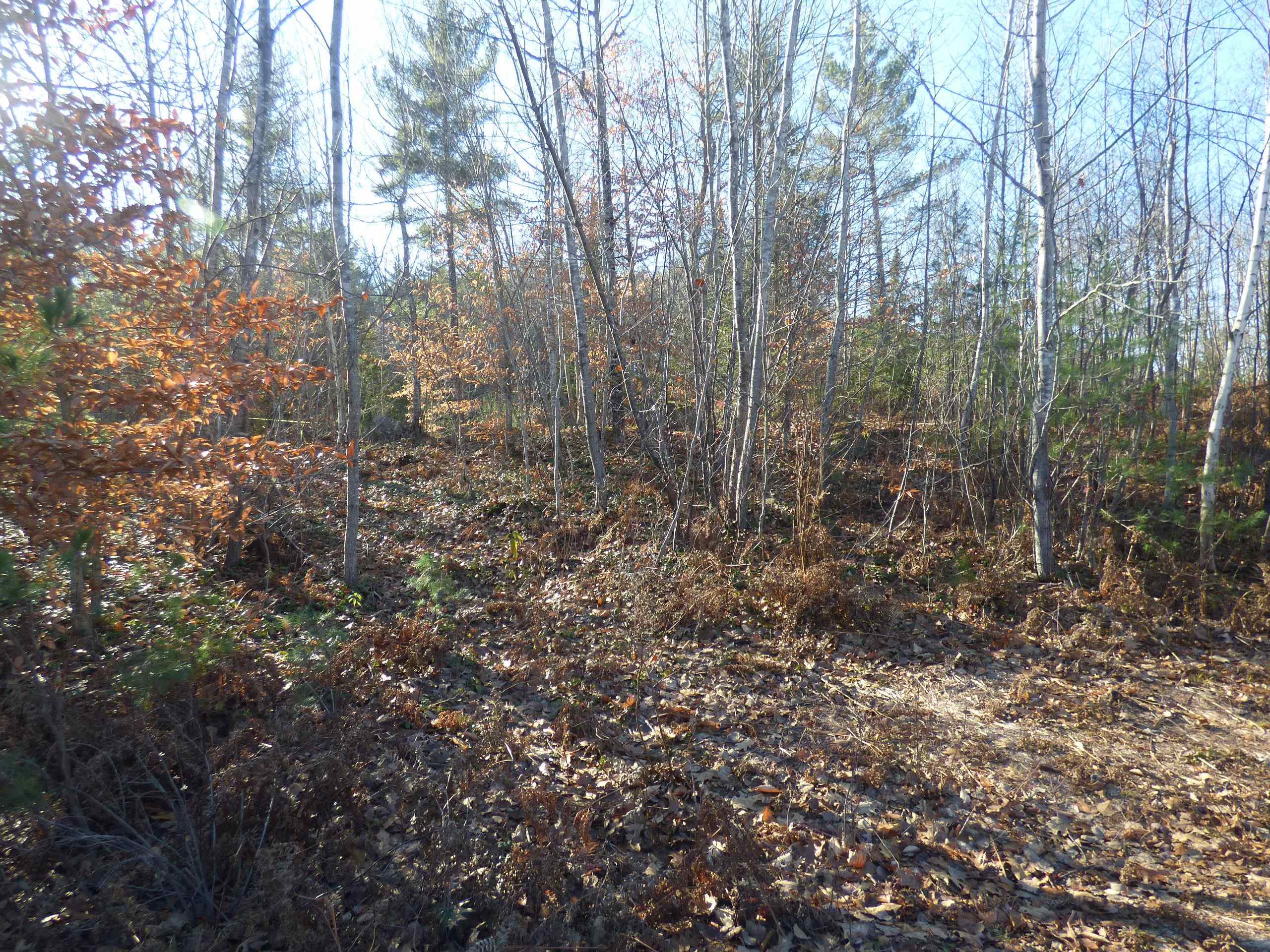 1 Hawthorne Road Ossipee, NH 03864 - Photo 5 of 9