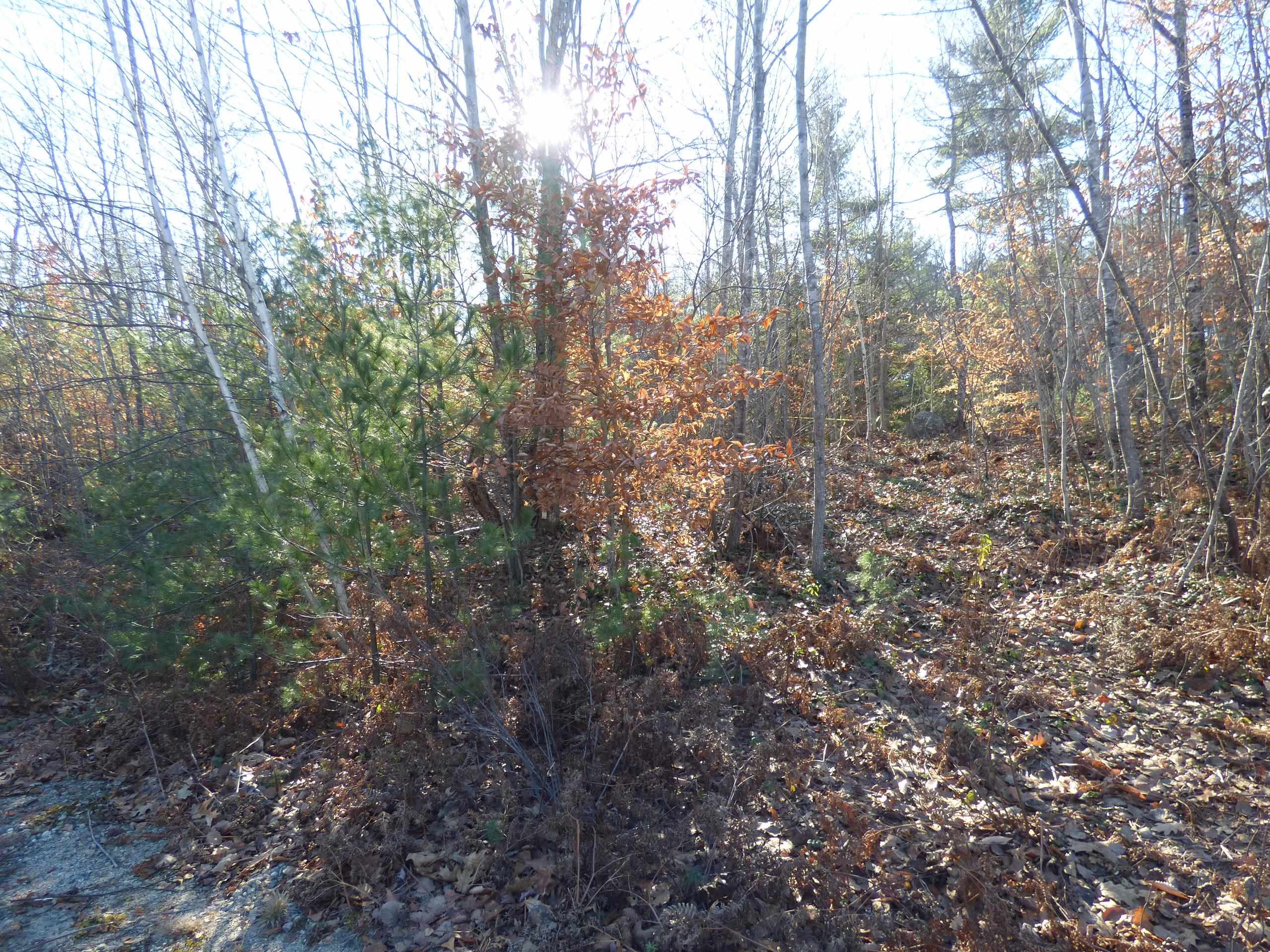 1 Hawthorne Road Ossipee, NH 03864 - Photo 6 of 9