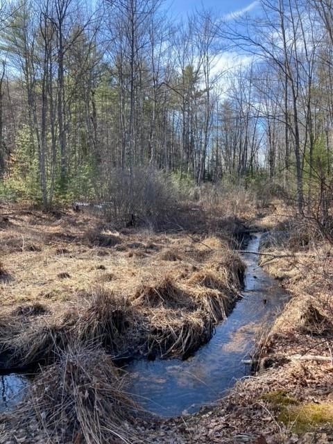 1 Hawthorne Road Ossipee, NH 03864 - Photo 8 of 9