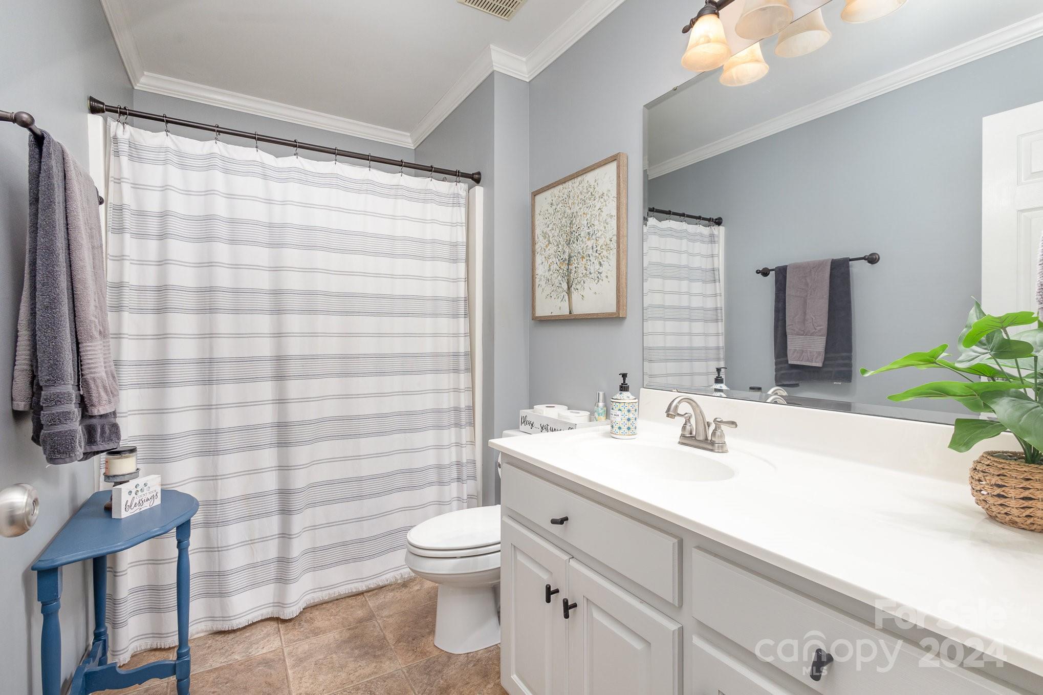13512 Five Point Road Locust, NC 28097 - Photo 21 of 31 a bathroom with a sink a toilet and shower curtain