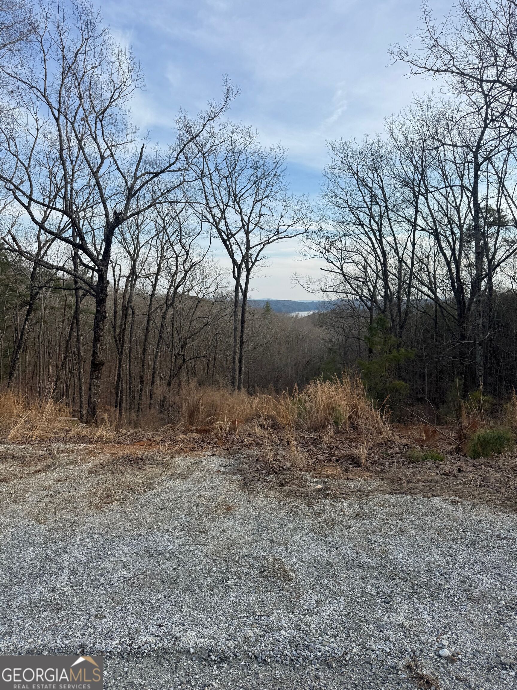 439 Buck Creek Road Ellijay, GA 30540 - Photo 6 of 15 Gallery Image 6