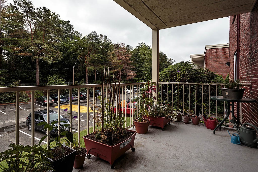 30 Hamilton Road, Unit 202 Arlington, MA 02474 - Photo 19 of 24 Gallery Image 19