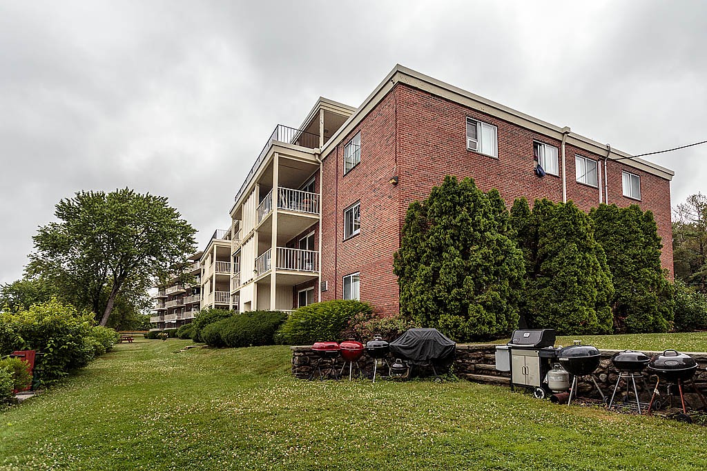 30 Hamilton Road, Unit 202 Arlington, MA 02474 - Photo 2 of 24 Gallery Image 2