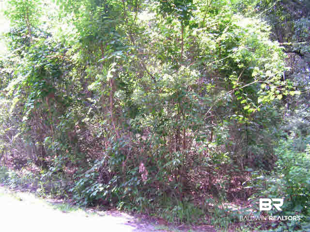 0 Chestnut Drive Foley, AL 36535 - Photo 4 of 4