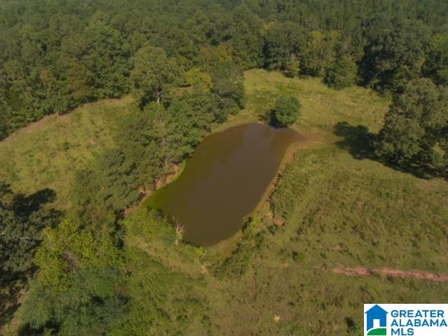 1165 Halls Chapel Road Alexandria, AL 36250 - Photo 3 of 38