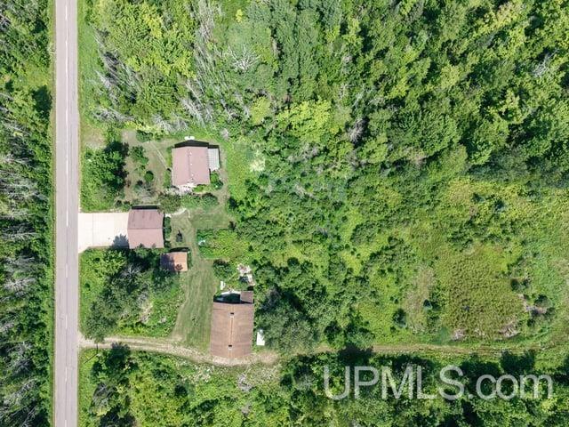 509 Dukes Road Skandia, MI 49885 - Photo 52 of 63