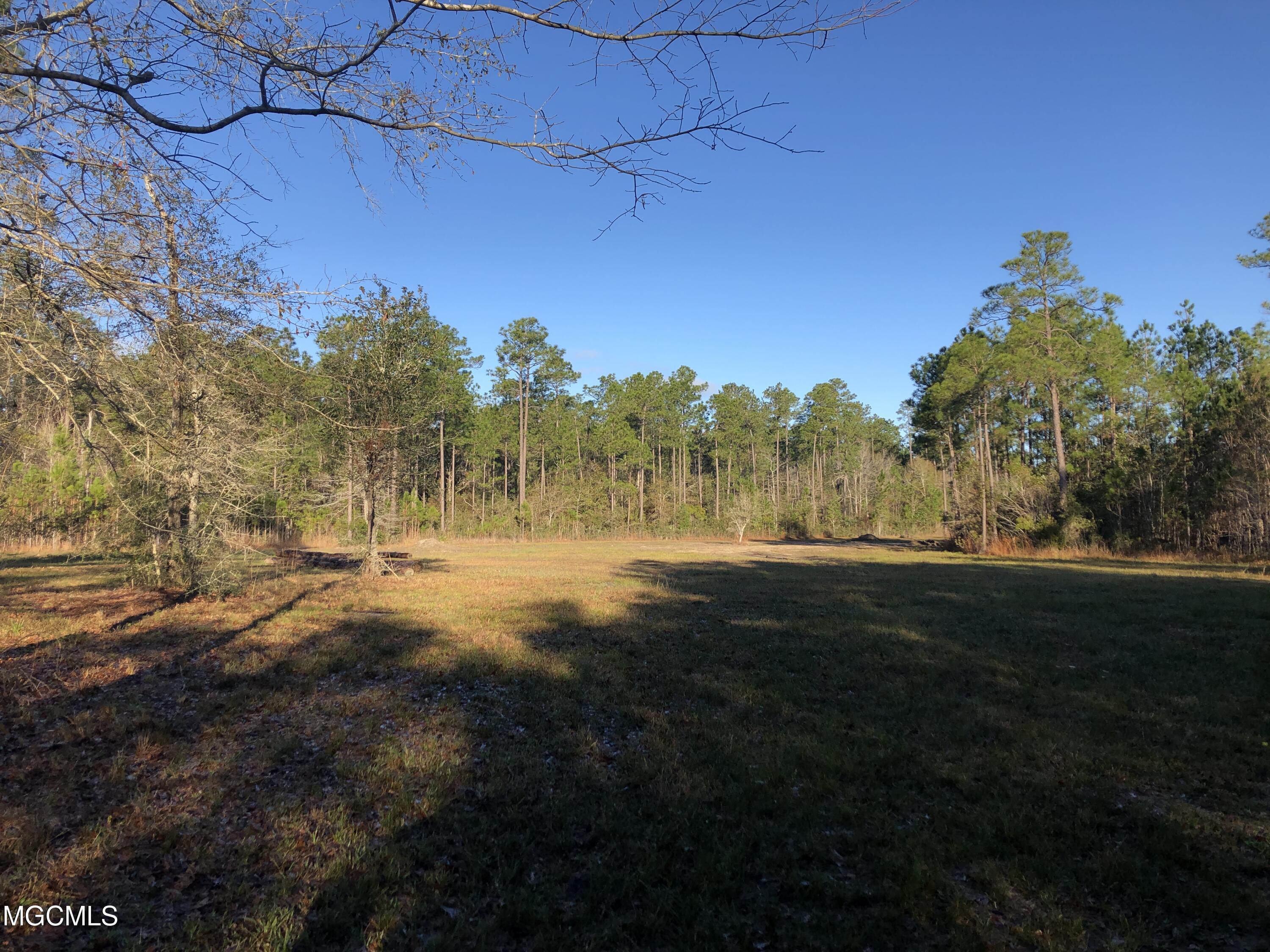 0 Arcadia Farm Road Pass Christian, MS 39571 - Photo 1 of 9 IMG_1388