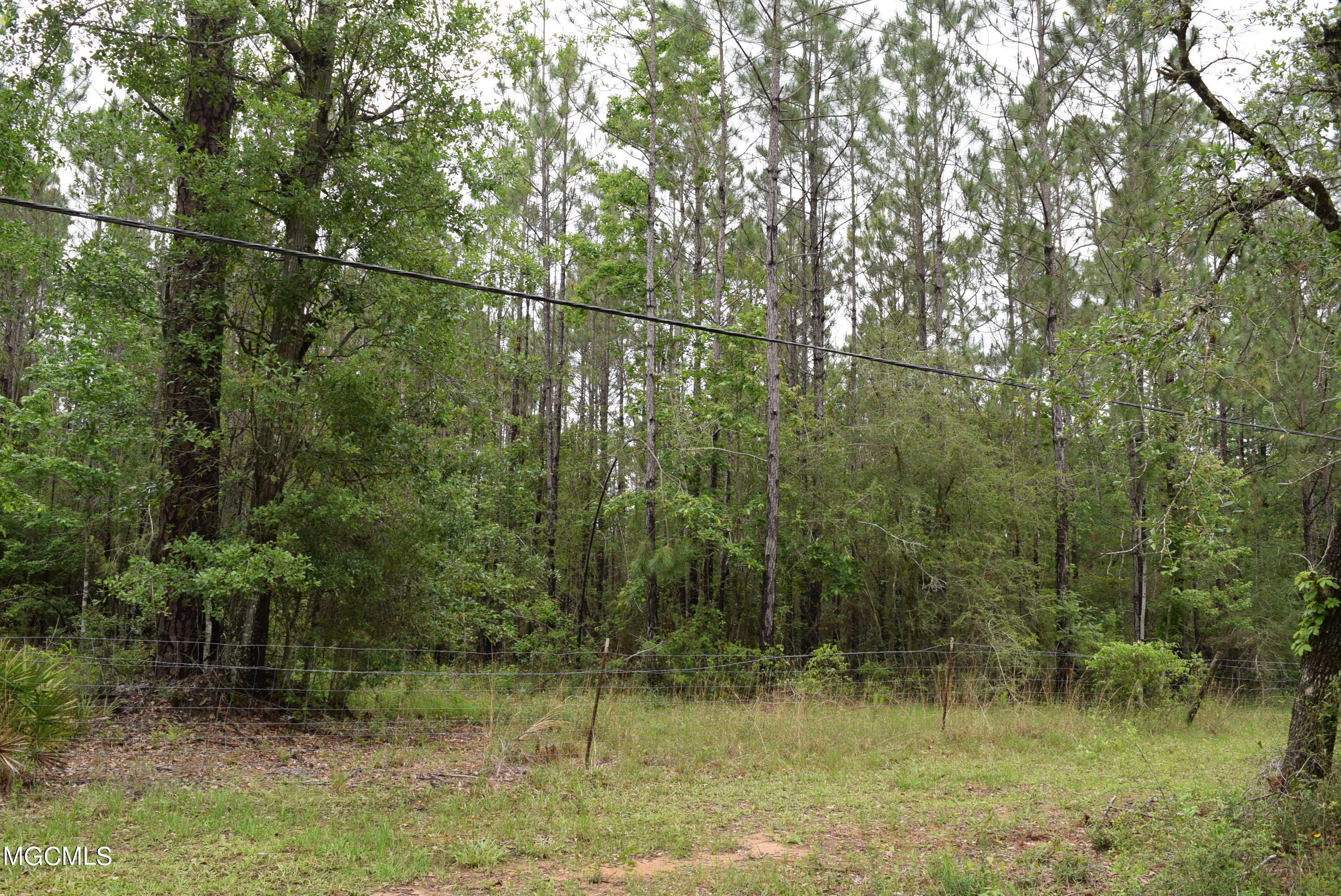 0 Arcadia Farm Road Pass Christian, MS 39571 - Photo 3 of 9 DSC_0732