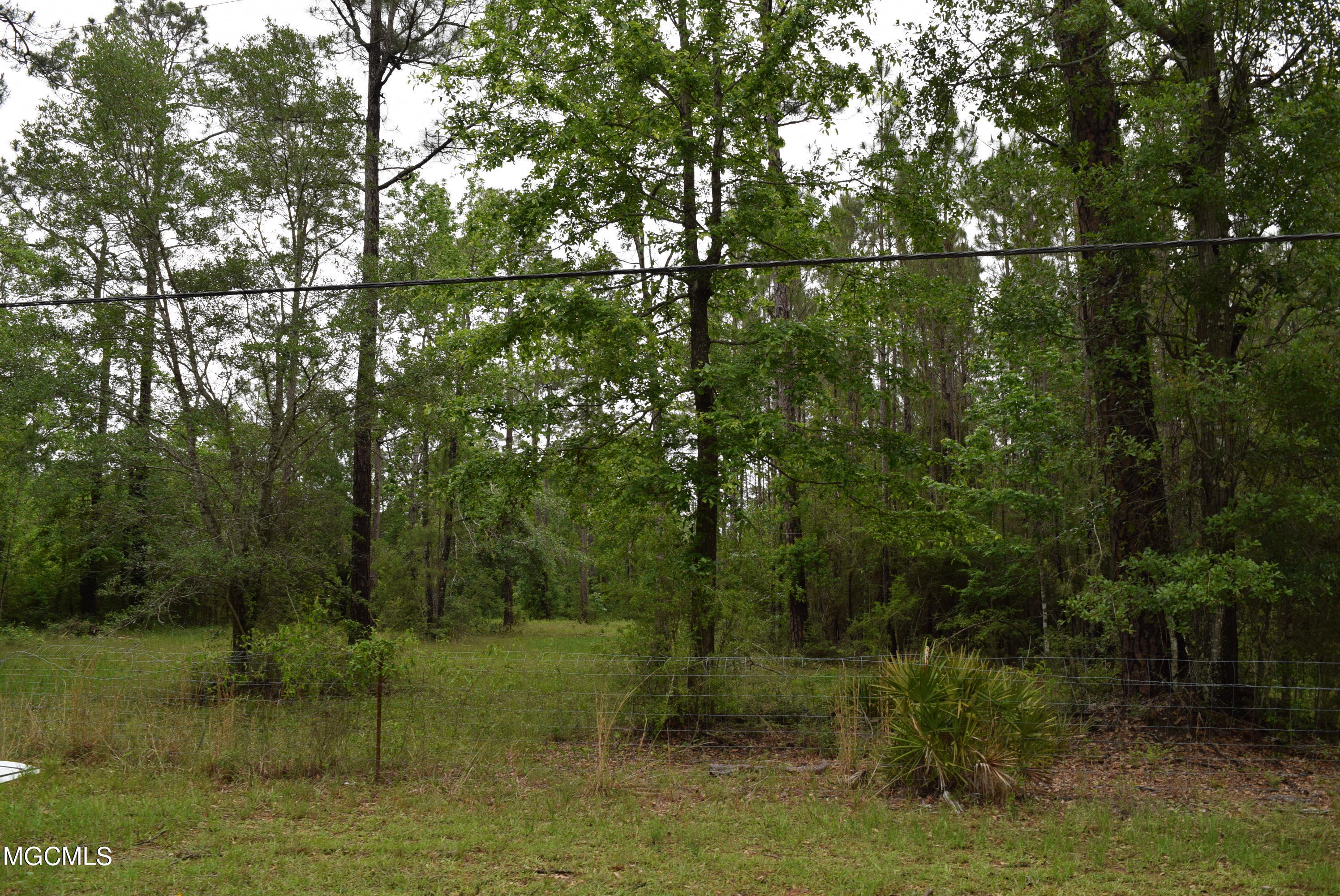0 Arcadia Farm Road Pass Christian, MS 39571 - Photo 4 of 9 DSC_0733