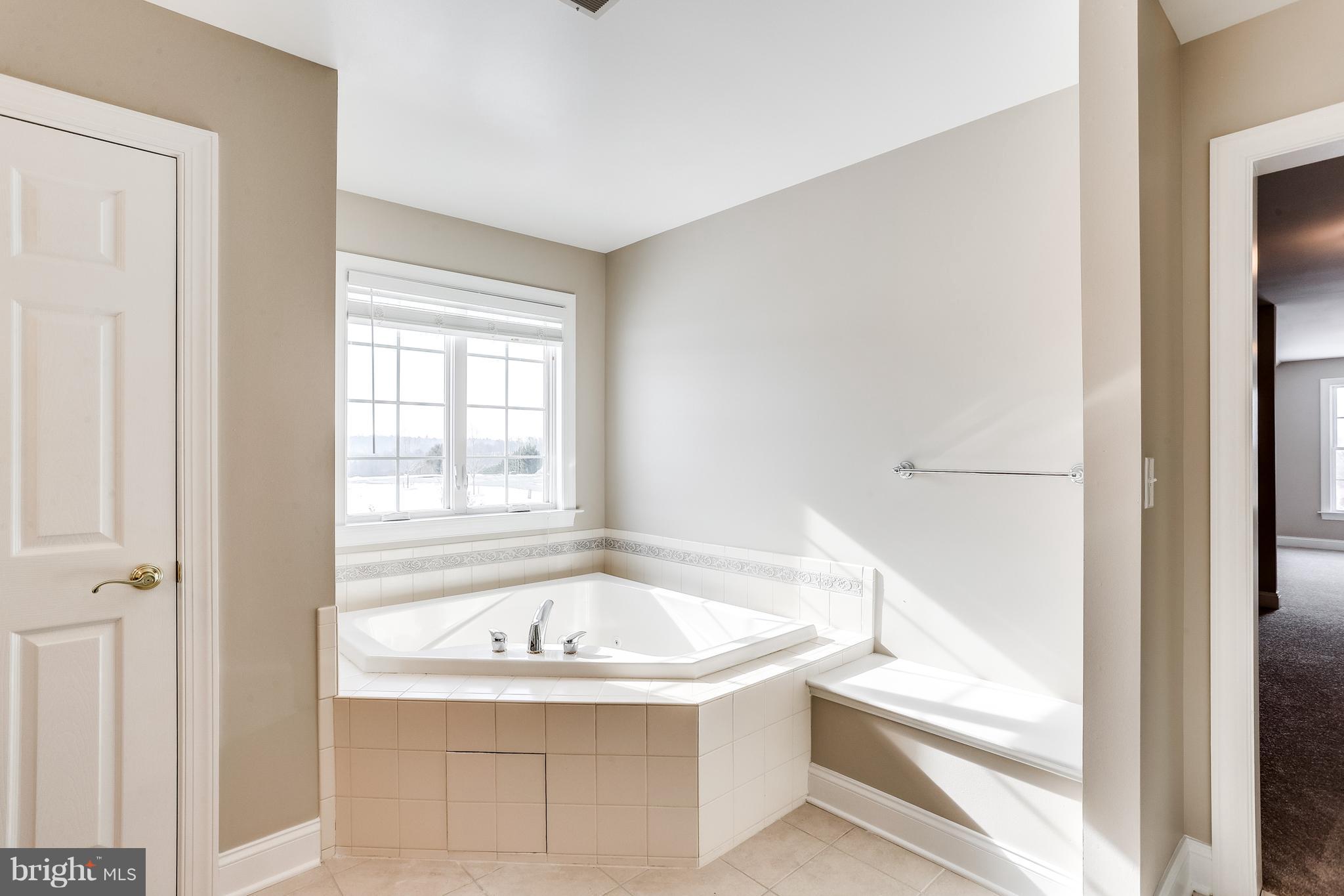 3109 Timber Ridge Circle White Hall, MD 21161 - Photo 40 of 49 Relaxing whirlpool tub