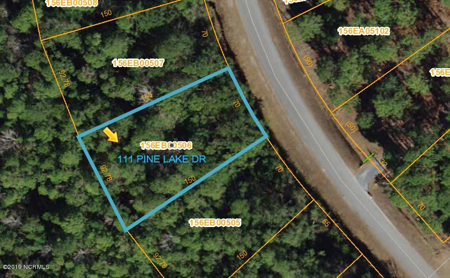 111 Pine Lake Road Boiling Spring Lakes, NC 28461 - Photo 1 of 1 AERIAL