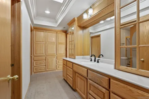 a bathroom with a vanity and a shower