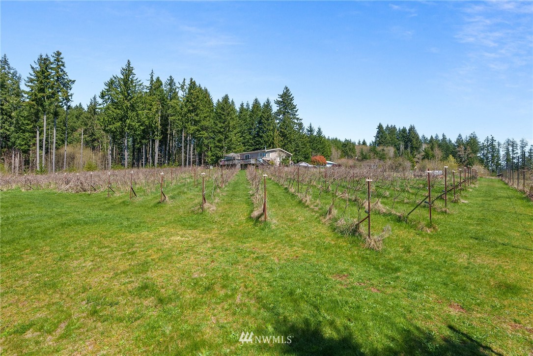 655 Chilvers Road Chehalis, WA 98532 - Photo 22 of 27