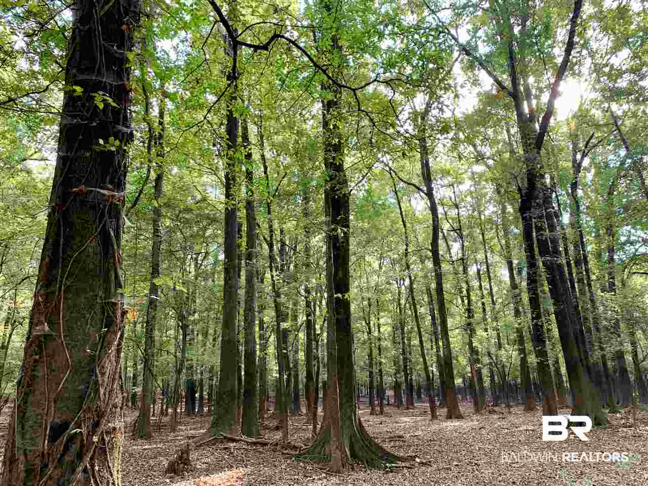 0 Holly Creek Road Stockton, AL 36579 - Photo 38 of 50