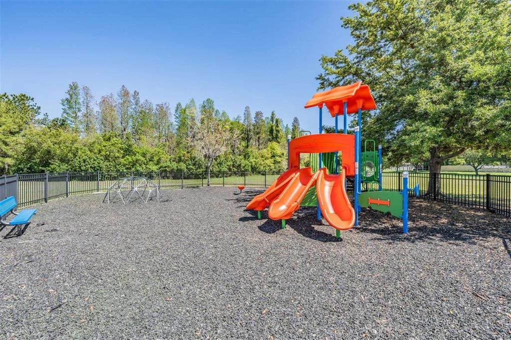 1418 Halapa Way Trinity, FL 34655 - Photo 42 of 46