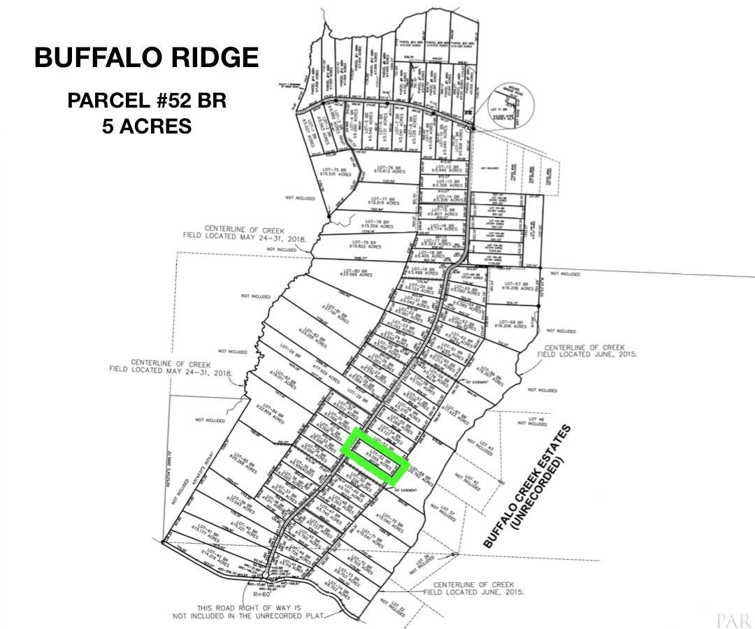 Lot 52-br Lot 52-br Buffalo Ridge Road Pace, FL 32571 - Photo 3 of 8