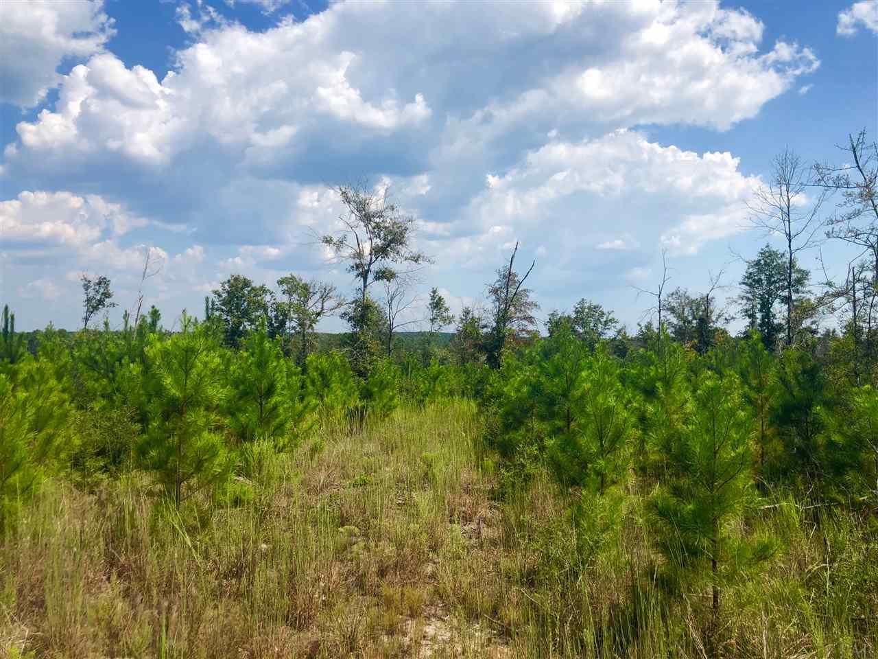 Lot 52-br Lot 52-br Buffalo Ridge Road Pace, FL 32571 - Photo 4 of 8