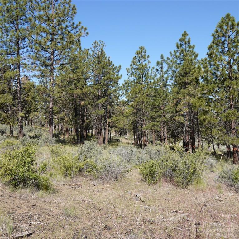 1709 Northwest Wild Rye Circle Bend, OR 97703 - Photo 3 of 8 Additional Photo