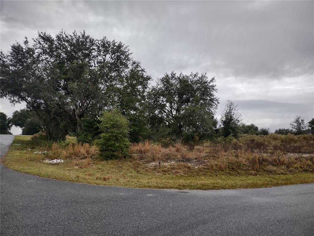 Locust Loop Lane Ocala, FL 34472 - Photo 1 of 1 Gallery Image 1